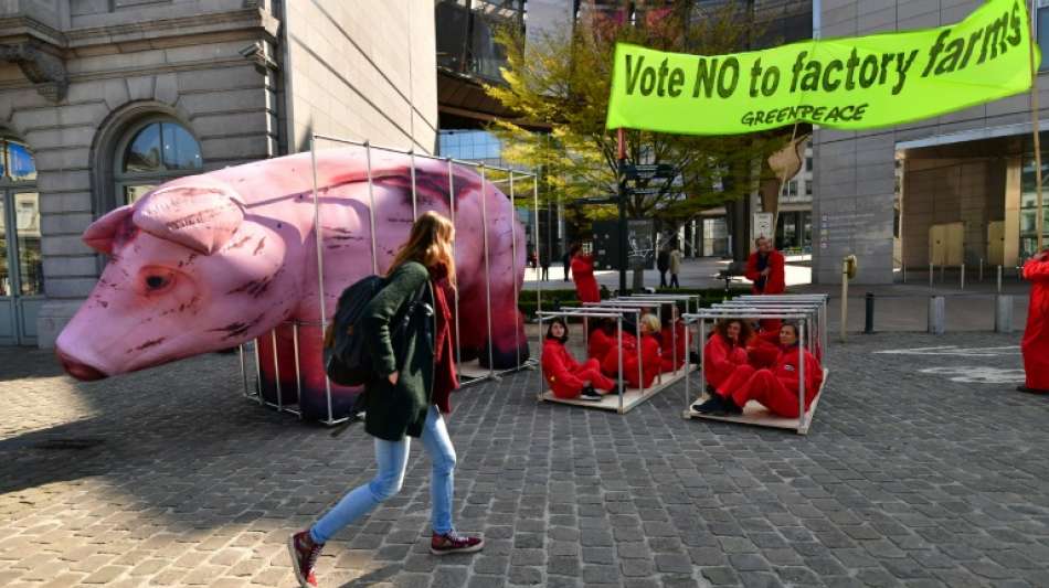 EU-Kommission will Käfighaltung von Nutztieren ab 2027 beenden
