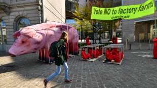 EU-Parlament will Ende der Käfighaltung bis 2027