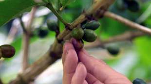 Corona-Krise belastet auch Fairtrade-Industrie