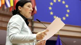 EU-Kommission befürchtet weitere Angriffe wie Sturm auf US-Kapitol 