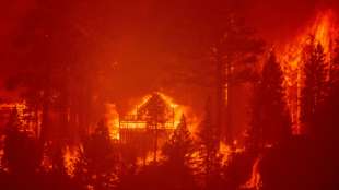 Riesiger Waldbrand in Kalifornien bedroht beliebte Touristenregion am Lake Tahoe