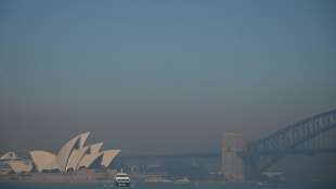 Wegen Buschbränden giftige Rauchwolke über Millionenmetropole Sydney