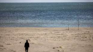 Kurzzeitige Tsunami-Warnung in Japan nach heftigem Erdbeben im Pazifik 