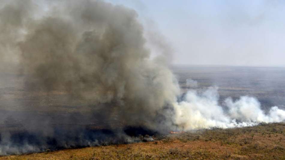 Waldbrände zerstören zwei Millionen Hektar Land in Bolivien