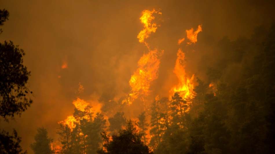 Brände auf griechischer Insel Euböa wüten weiter