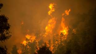 Brände auf griechischer Insel Euböa wüten weiter
