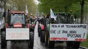 Bauern in Frankreich protestieren gegen EU-Agrarpolitik 