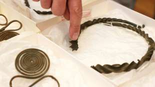 Schwedischer Hobby-Kartograph findet 2500 Jahre alten Schatz