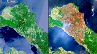 Neuer Waldbrand s&uuml;d&ouml;stlich von Athen ausgebrochen