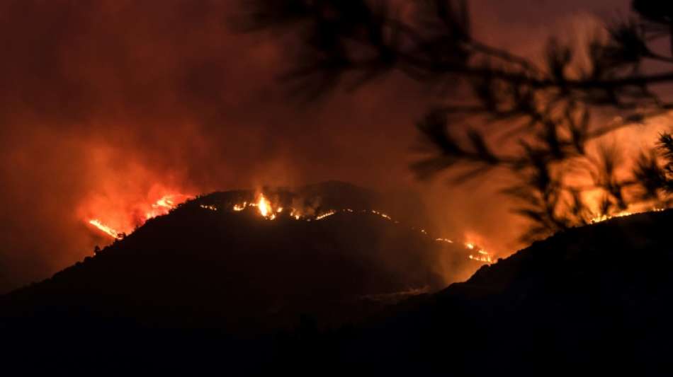 Vier Tote bei riesigem Waldbrand auf Zypern