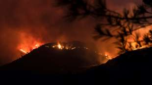 Vier Tote bei riesigem Waldbrand auf Zypern 