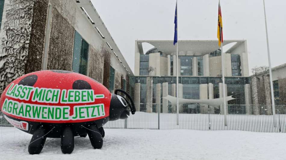 Koalition einigt sich nach monatelangem Streit auf Insektenschutzgesetz