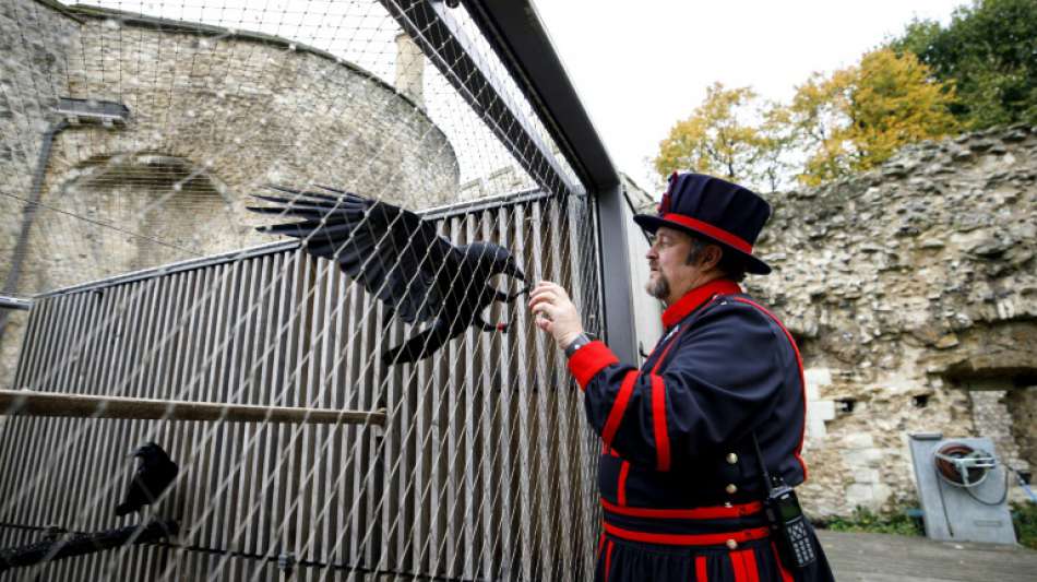 D&uuml;steres Omen f&uuml;r Gro&szlig;britannien: Einer der Raben im Londoner Tower wird vermisst