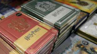 US-Schule verbannt "Harry-Potter"-Romane wegen Zaubersprüchen aus Bibliothek