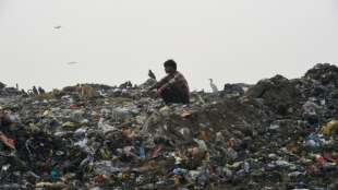 Müllkippe in Indiens Hauptstadt bald so hoch wie das Taj Mahal