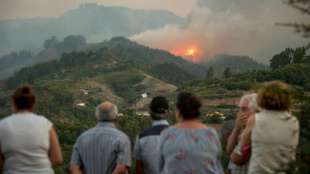 Waldbrände auf Gran Canaria unter Kontrolle