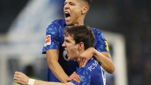 Raman hält Schalke auf Europacup-Kurs - Rot für Nübel