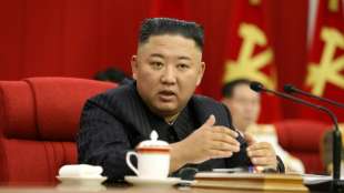 Pj&ouml;ngjang ver&ouml;ffentlicht B&uuml;rger-Kommentar &uuml;ber "ausgemergelten" Kim