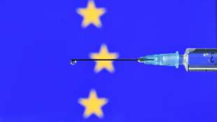 Spitzenpolitiker warnen vor neuen Grenzschließungen vor EU-Corona-Gipfel