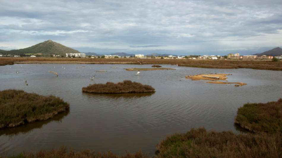 Eurowings stockt Flüge nach Mallorca für die Oster-Reisezeit auf