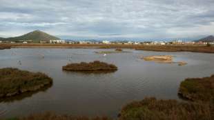 Eurowings stockt Flüge nach Mallorca für die Oster-Reisezeit auf