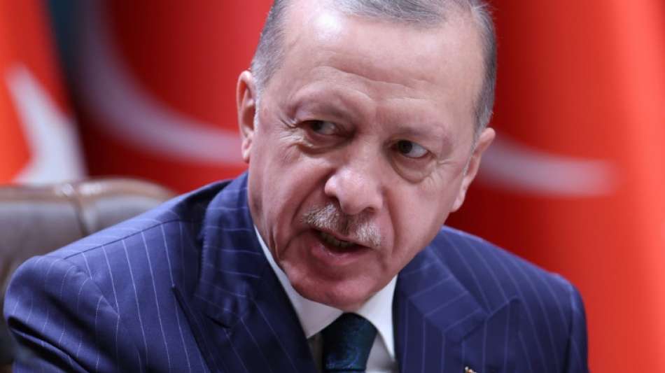 Erdogan verspricht niedrigere Inflation 