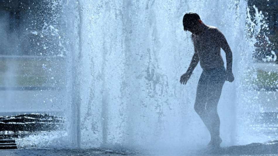 Diesjähriger Sommer insgesamt zu warm und etwas zu trocken