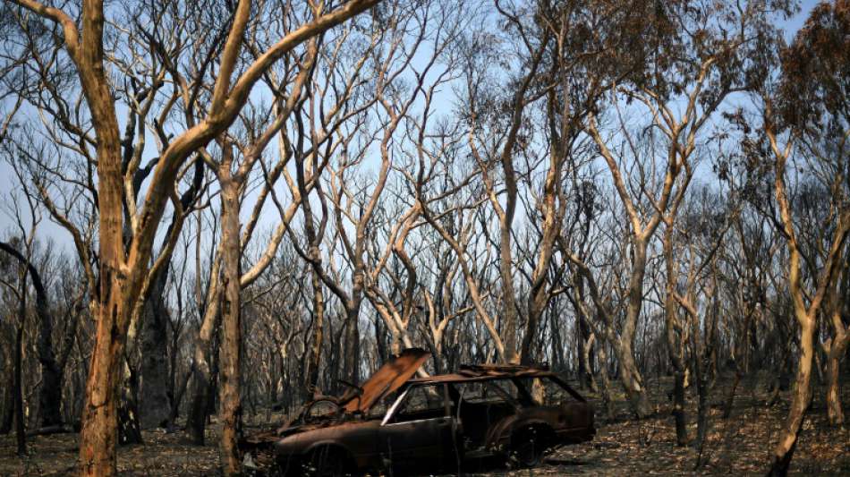Australische Feuerwehr bringt größten Buschbrand unter Kontrolle
