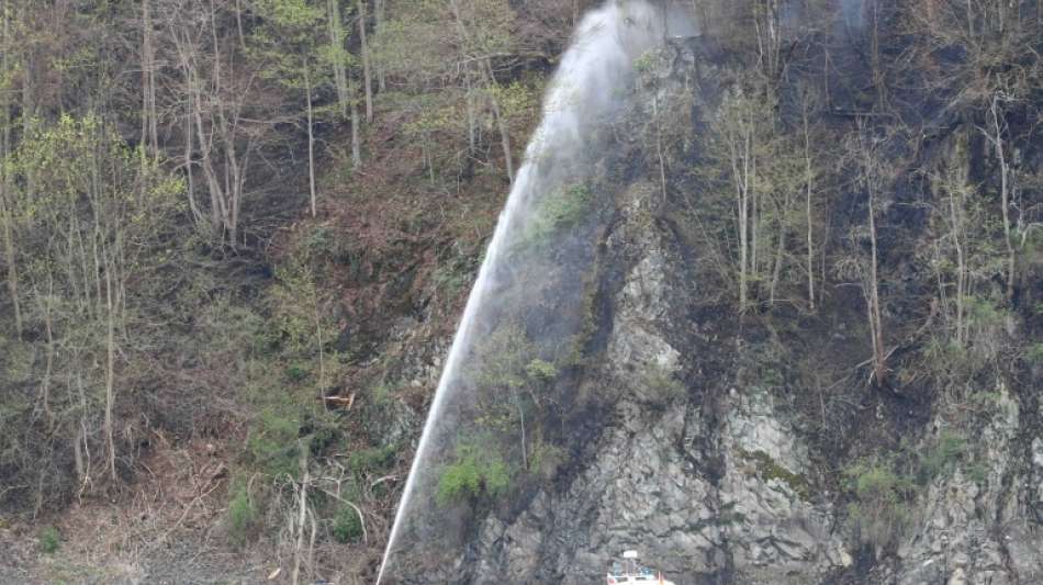 Feuerwehrverband fordert mehr große Löschhubschrauber zur Waldbrandbekämpfung