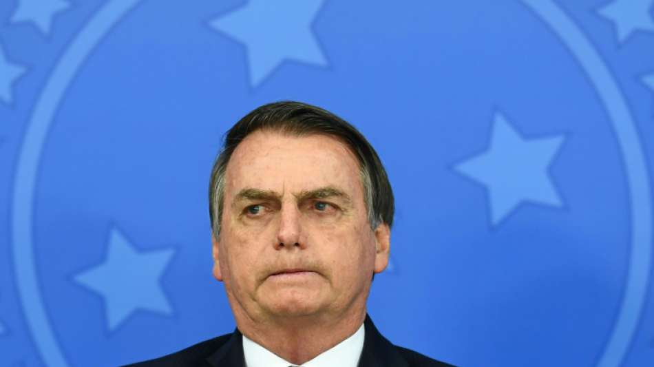 Bundesregierung stoppt alle Waldprojekte in Brasilien