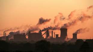 Gr&uuml;ne treten f&uuml;r h&ouml;heren CO2-Preis und soziale Erleichterungen ein