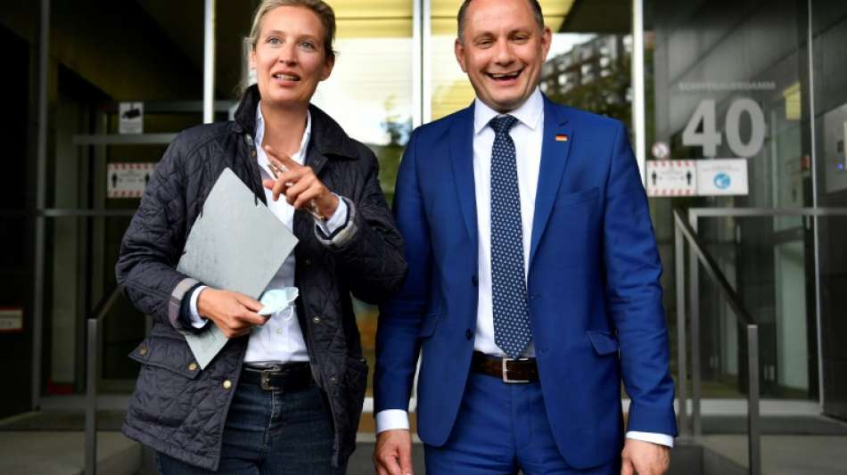 AfD-Fraktion w&auml;hlt Weidel und Chrupalla nach langen Debatten als Vorsitzende