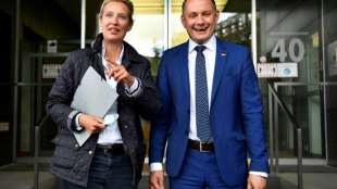 AfD-Fraktion w&auml;hlt Weidel und Chrupalla nach langen Debatten als Vorsitzende