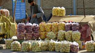 Pakistan warnt vor "wirtschaftlichem Zusammenbruch" Afghanistans