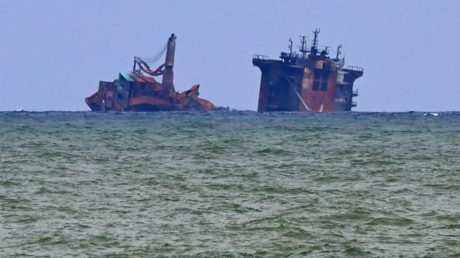 Umweltaktivisten verklagen nach Containerschiff-Brand Sri Lankas Regierung