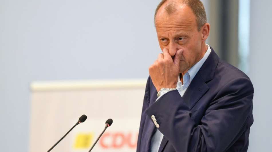 Merz kritisiert hohe Zahl von Berufspolitikern im Bundestag