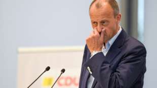 Merz kritisiert hohe Zahl von Berufspolitikern im Bundestag