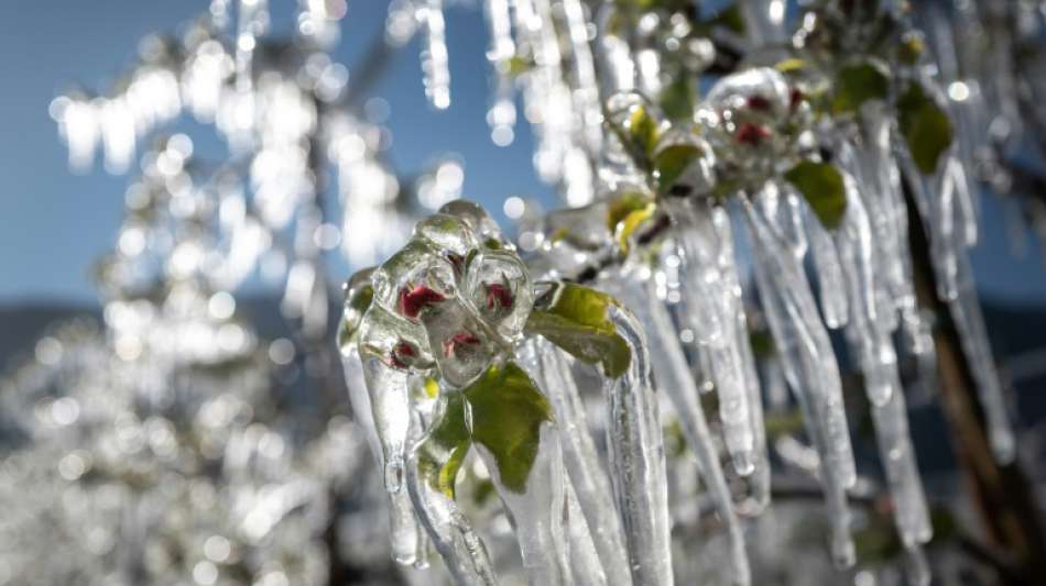 Deutscher Wetterdienst misst k&auml;ltesten April seit 40 Jahren