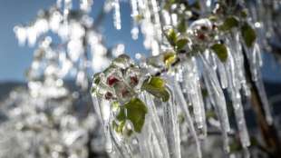 Deutscher Wetterdienst misst k&auml;ltesten April seit 40 Jahren
