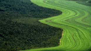 Bolsonaro erklärt deutsche Fördermittel für Waldschutz in Brasilien für verzichtbar