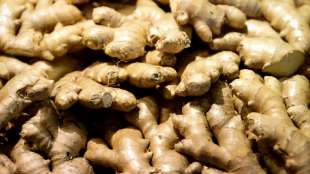 Stiftung Warentest: Große Unterschiede bei Ingwer-Shots