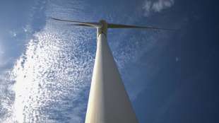 Verbände fordern angesichts schlechter Ausbauzahlen Umsteuern bei Windkraft