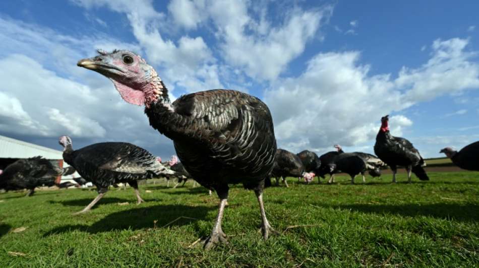 In Gro&szlig;britannien fehlen auch 15.000 Metzger - Sorge um den Weihnachtsbraten