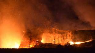 Rund 5000 Puten sterben bei Großbrand auf Geflügelhof in Baden-Württemberg