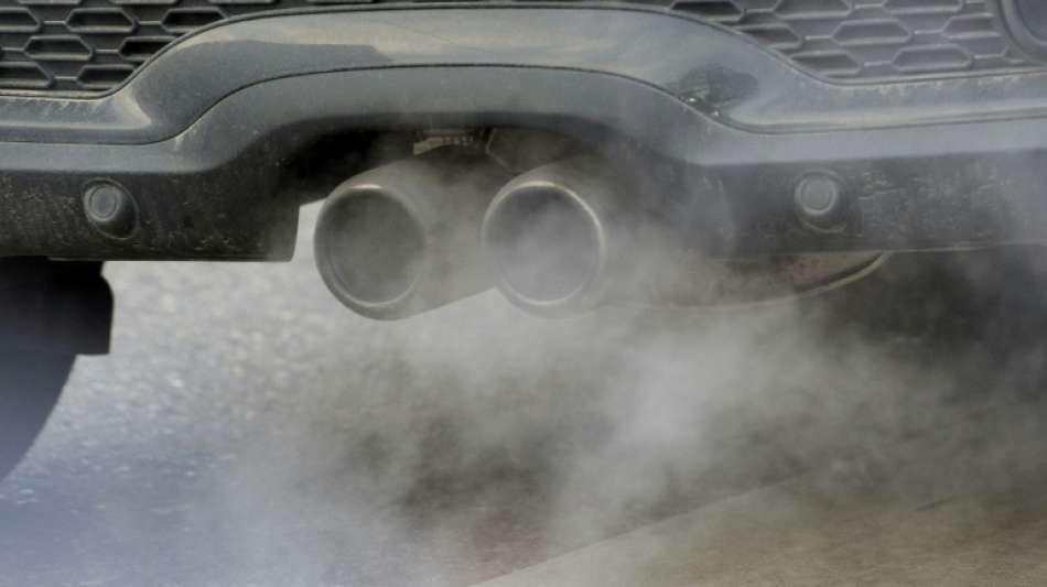 Studie: Jährlich vier Millionen neue Asthmafälle bei Kindern durch Autoabgase