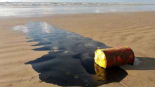 Ölpest verseucht 132 Strände in Brasilien