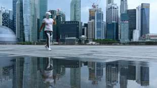 Wirtschaftseinbruch um 41 Prozent: Singapur stürzt in die Rezession