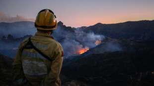 Waldbrand auf Gran Canaria verliert an Zerstörungskraft