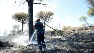 Waldbrand nahe Saint-Tropez ist gel&ouml;scht