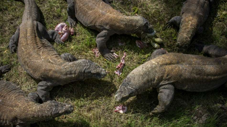 Klimakrise bedroht immer mehr Tierarten - Rote Liste wird l&auml;nger